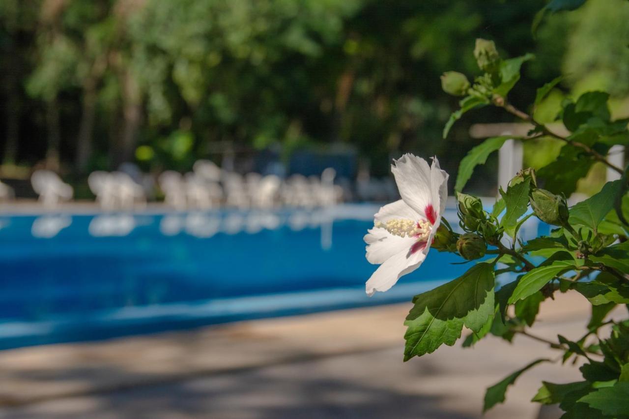 El Molino - Complejo Turistisco Resort Victoria (Entre Rios)